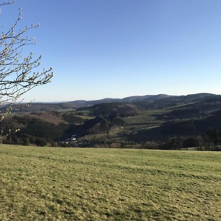 Bergchalet La Roubine Willingen Neerdar Exteriör bild