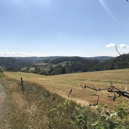 Bergchalet La Roubine Willingen Neerdar Exteriör bild