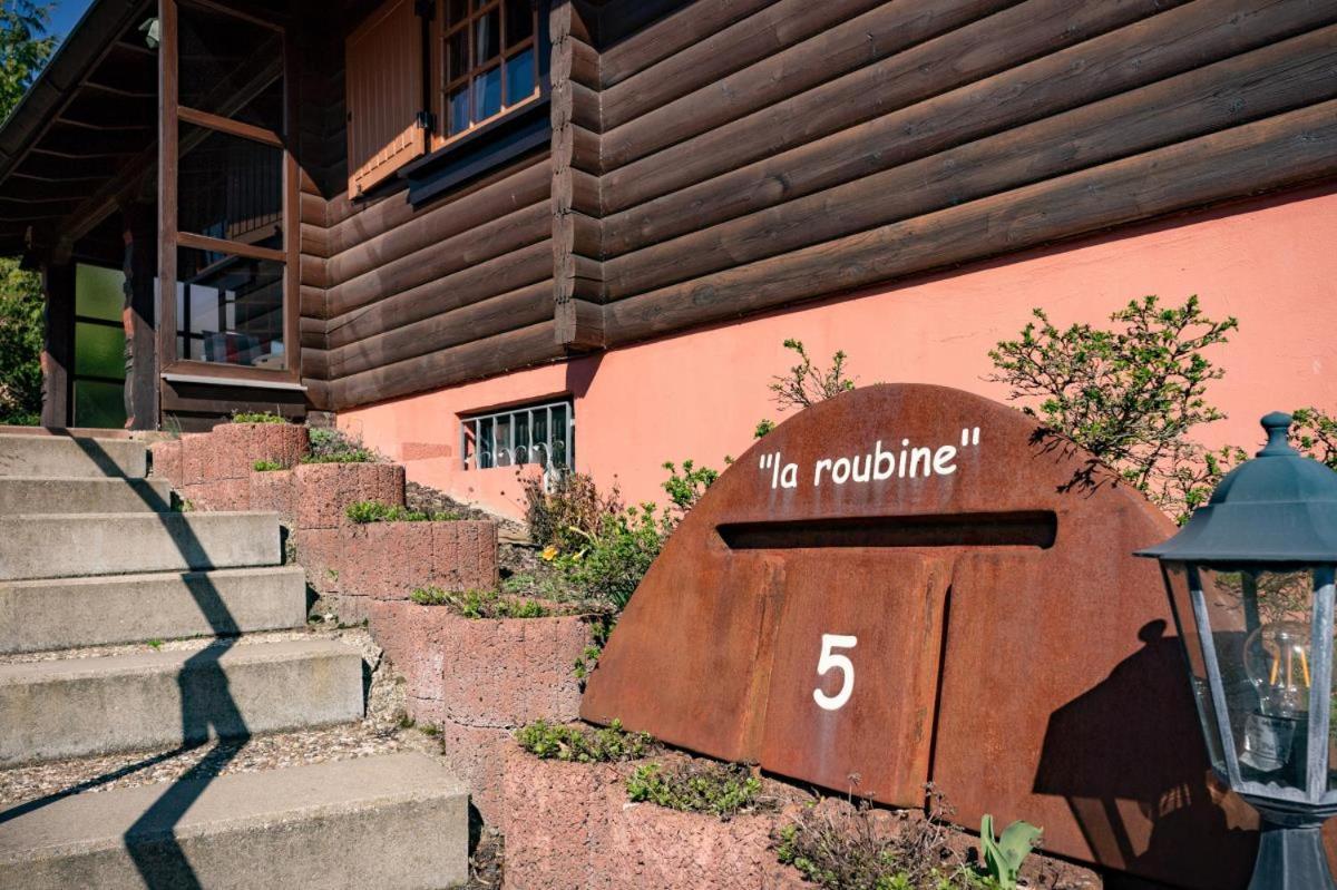 Bergchalet La Roubine Willingen Neerdar Exteriör bild