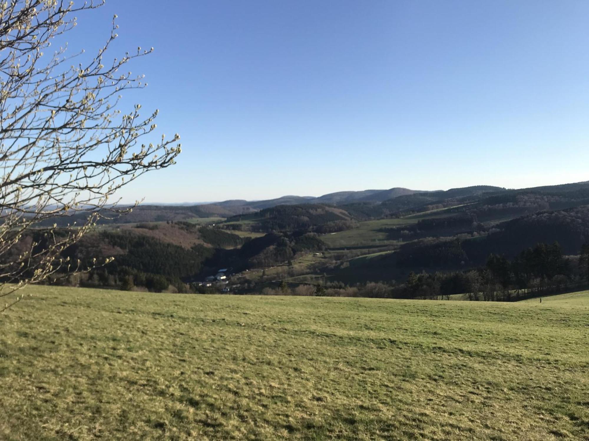 Bergchalet La Roubine Willingen Neerdar Exteriör bild