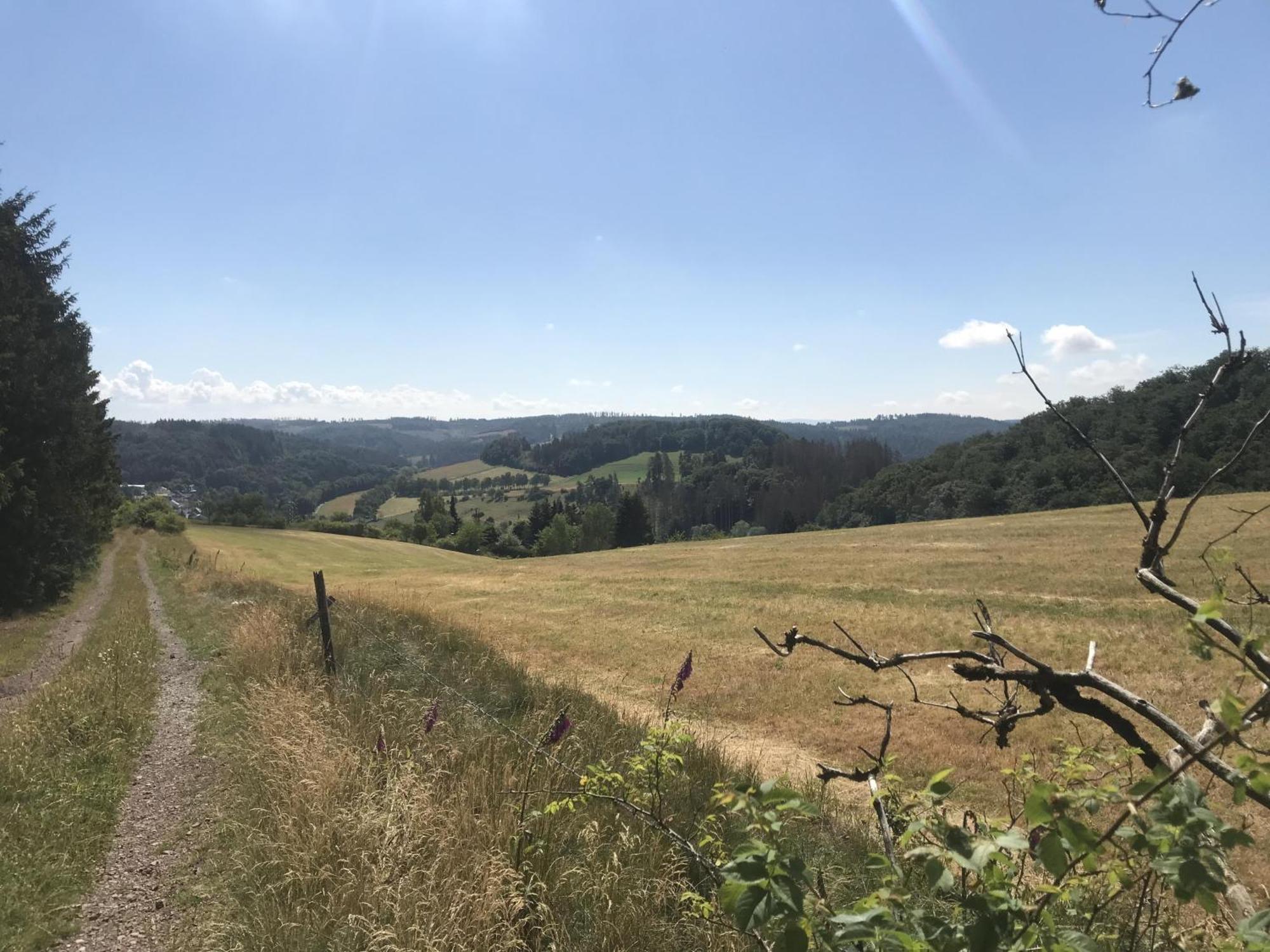 Bergchalet La Roubine Willingen Neerdar Exteriör bild
